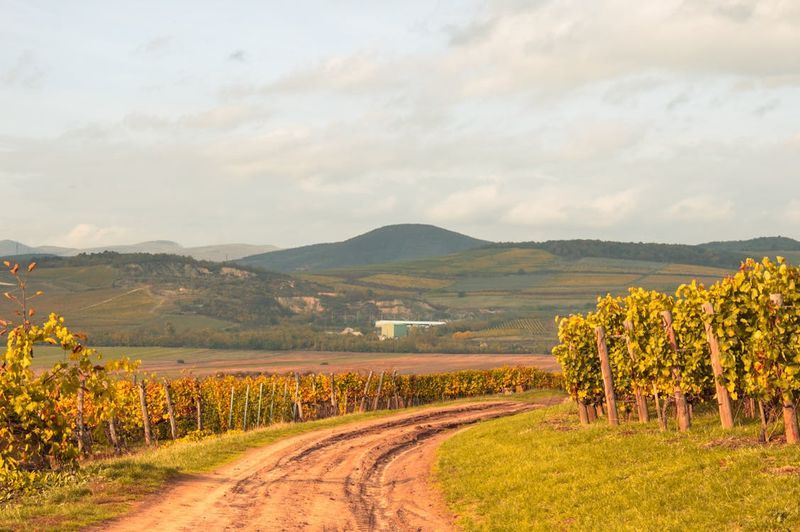 Tips for Selling Recreational Land in Missouri